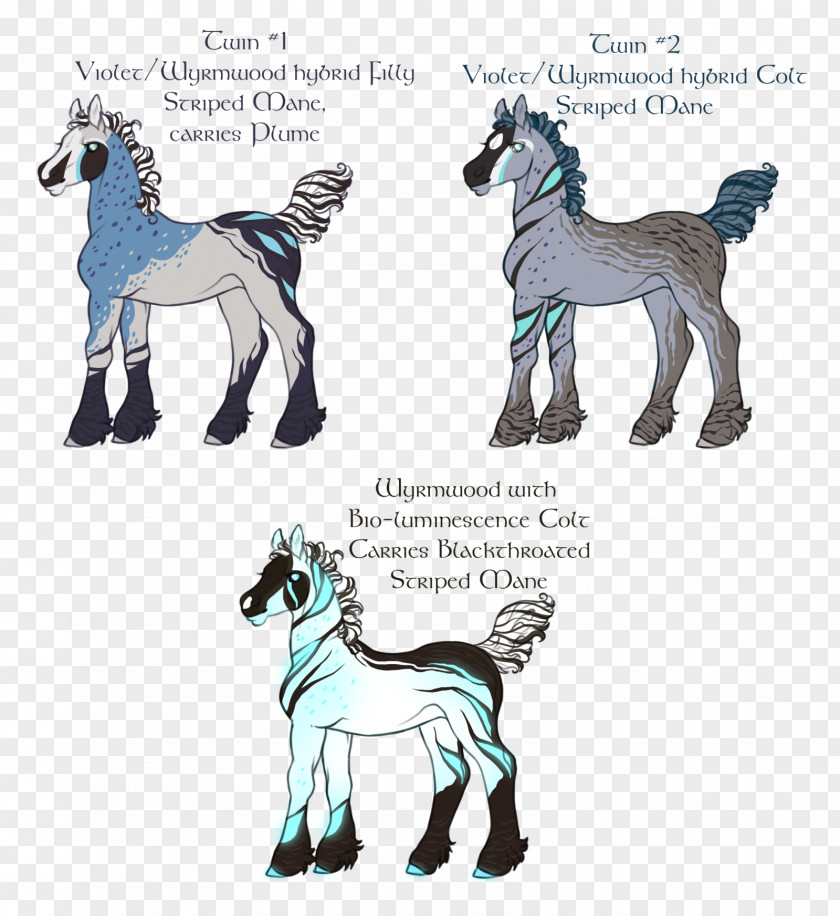 Mustang Pony Donkey Camel Pack Animal PNG