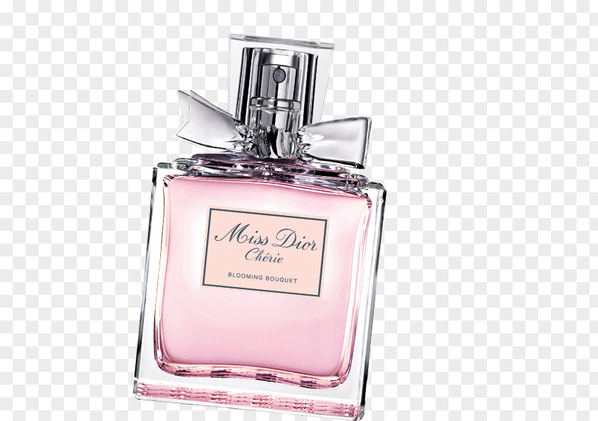 Perfume Christian Dior SE Eau De Toilette Chanel Cosmetics PNG