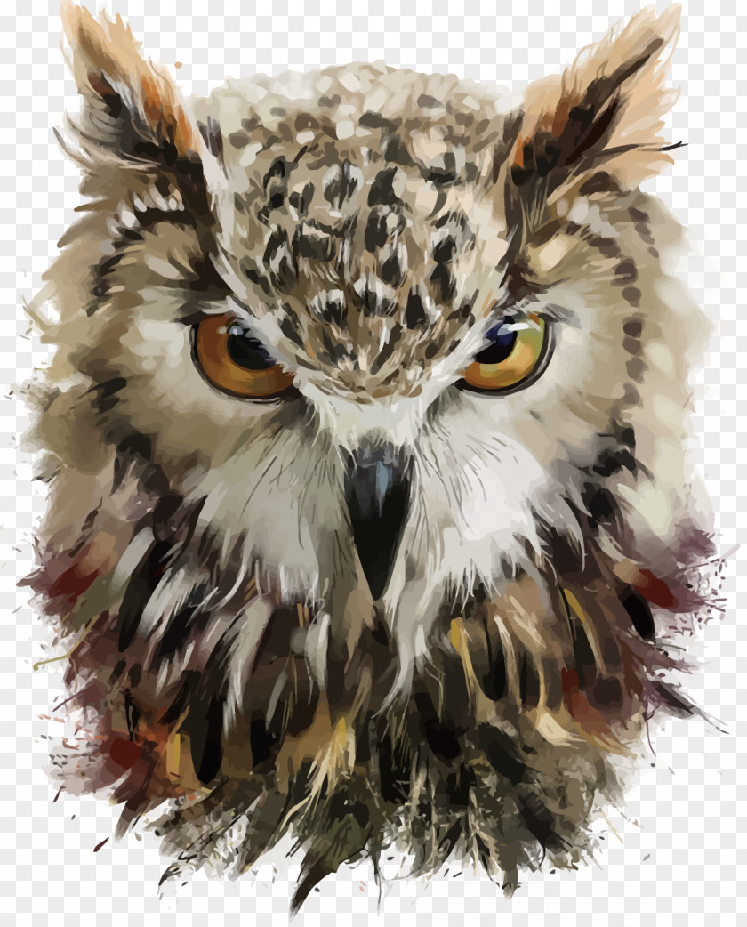 Vector Hand Painted Owl DeviantArt Drawing Painting PNG