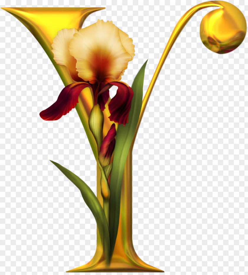 Y Floral Design Letter Alphabet PlayStation Flower PNG