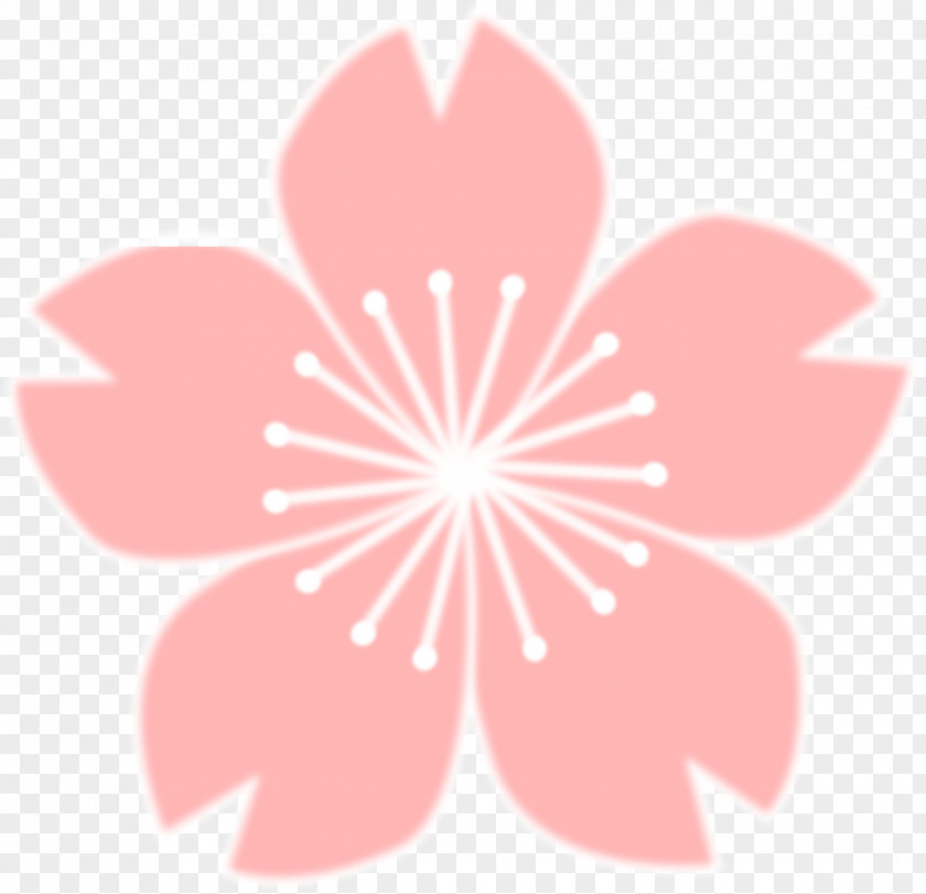 Cherry Blossom Clip Art PNG