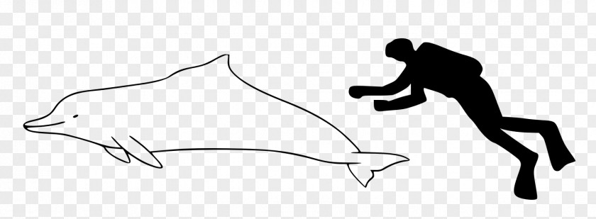 Drawing Blackandwhite Dolphin Cartoon PNG