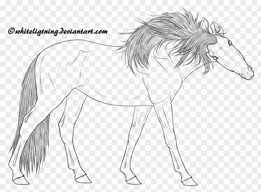 Lineart Mane Line Art Pony Foal Sketch PNG