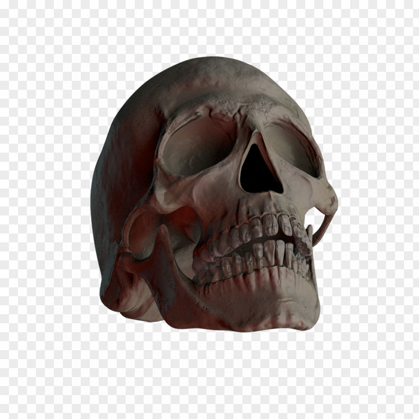 Skulls Skull And Crossbones Skeleton Calavera PNG