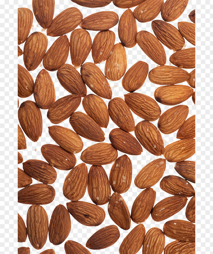 Sweet Almond Nuts Food Nut Apricot Kernel PNG