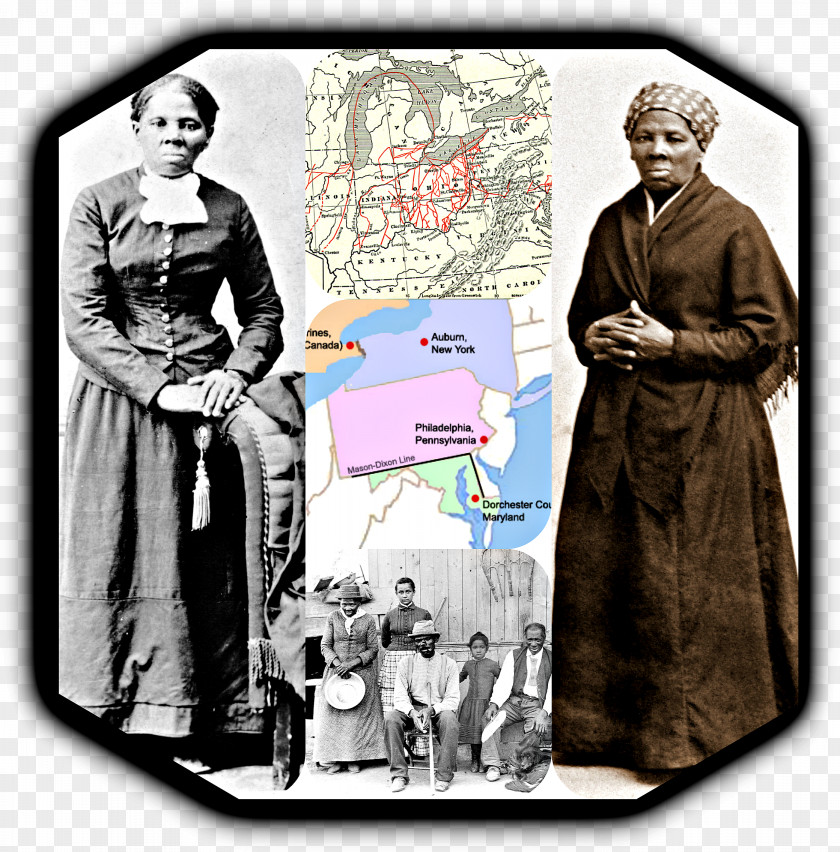They Can't Pull Us Up: Harriet Tubman And Her Life Human Behavior Homo Sapiens PNG