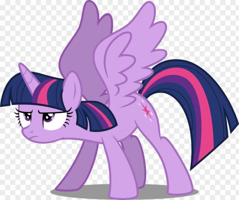 Buy 1 Take Pony Twilight Sparkle Pinkie Pie Horse PNG