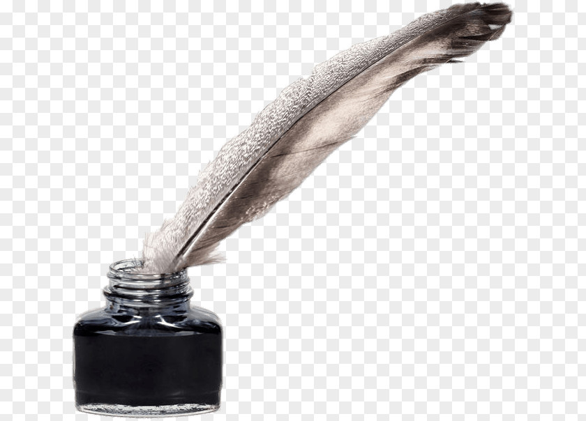Feather PNG