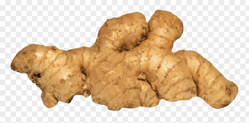 Ginger Tea Spice Image PNG