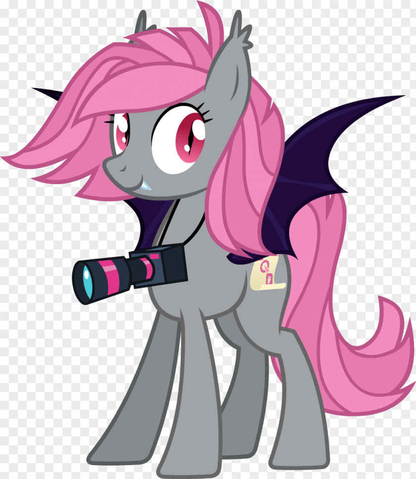 My Little Pony Pony: Equestria Girls Rainbow Dash Daily PNG