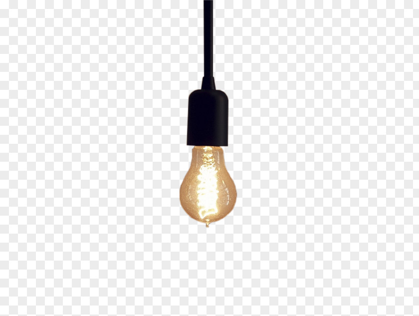Simple Pull Material Emitting Bulb Free Light Fixture Electric Brown PNG