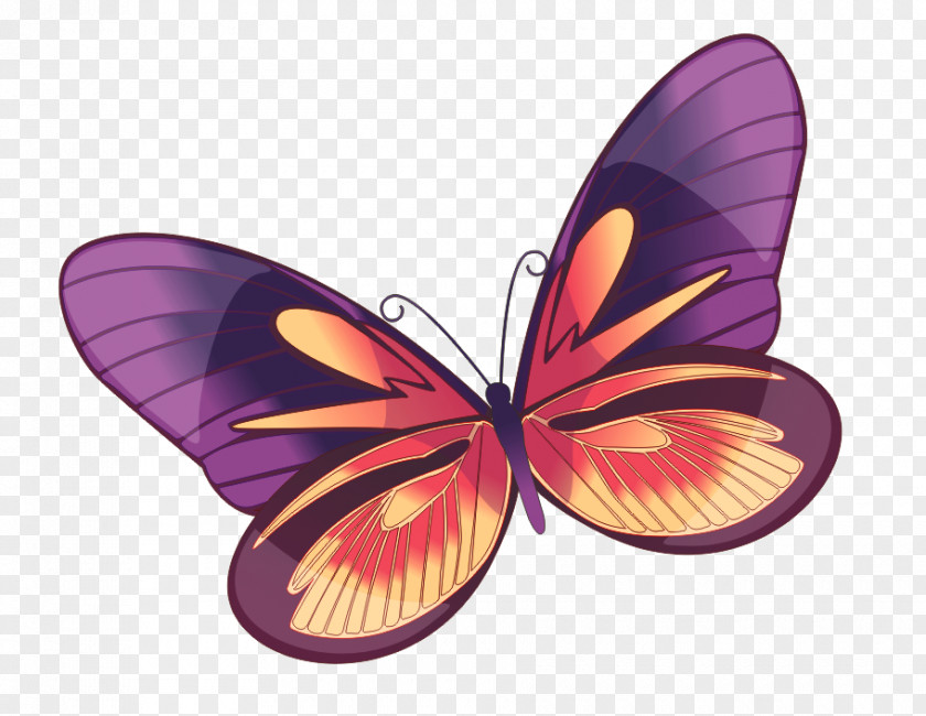 Butterfly Monarch Insect Clip Art Borboleta PNG