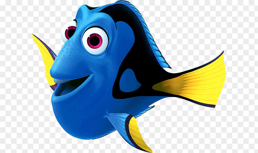 Nemo Dory Animated Film PNG