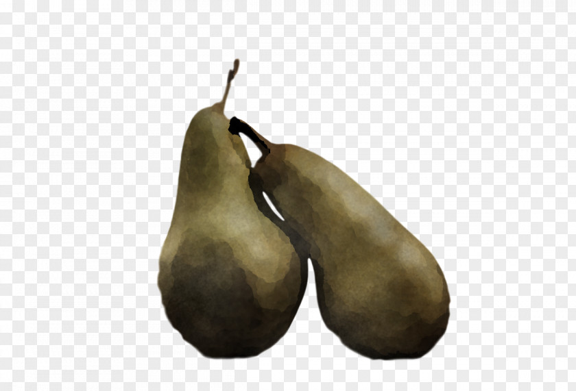 Pear Plants Fruit Fahrenheit Biology PNG