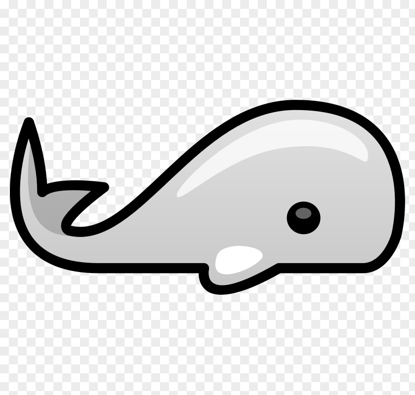 Pic Of A Whale Gray Clip Art PNG