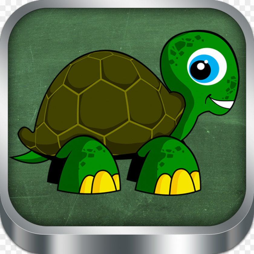 Hexa Tortoise Turtle Green PNG