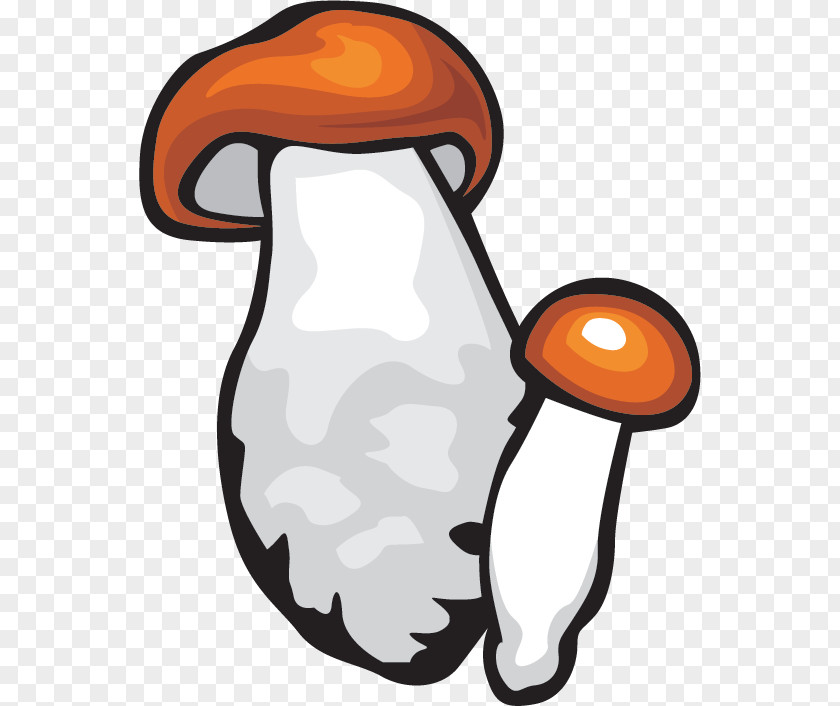 Mushroom Shiitake Clip Art PNG