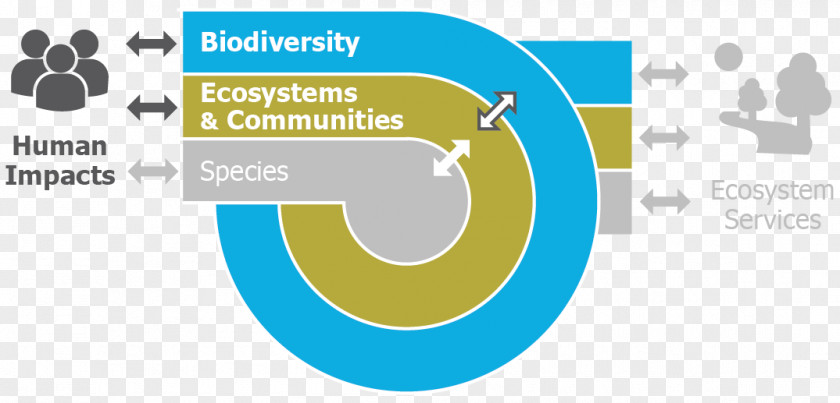 Natural Environment Sand Engine Ecosystem Services Biodiversity PNG