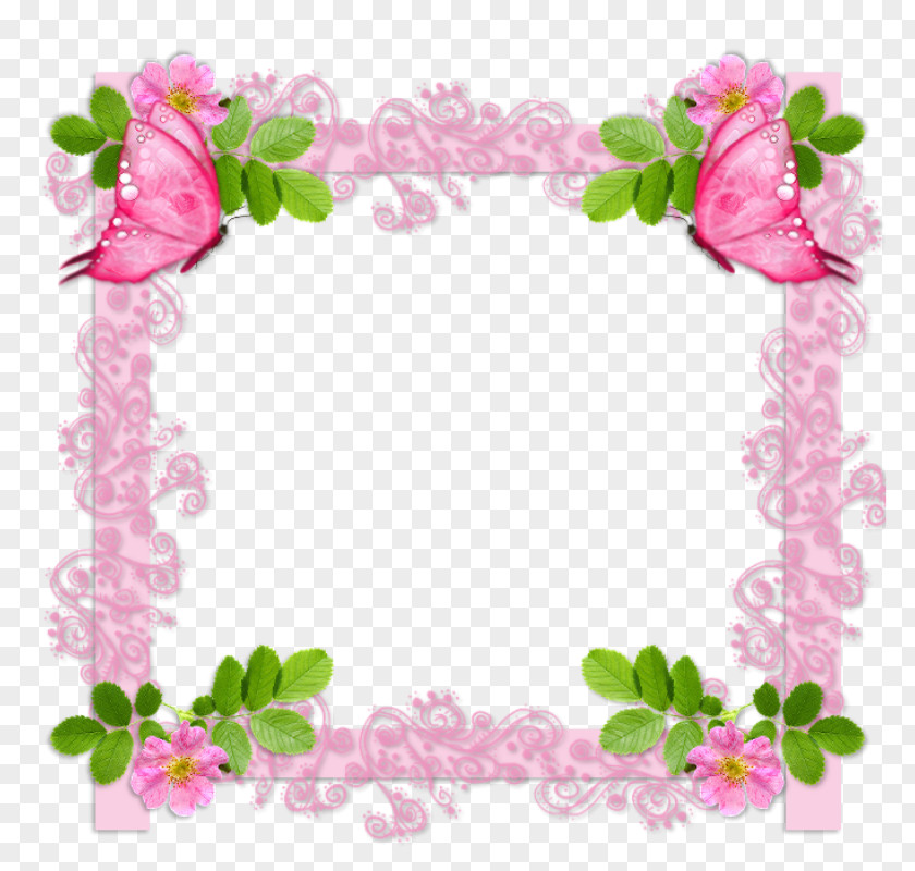 Quadros Garden Roses Picture Frames Photography Floral Design PNG