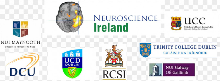 Technology Royal College Of Surgeons In Ireland Logo Brand PNG