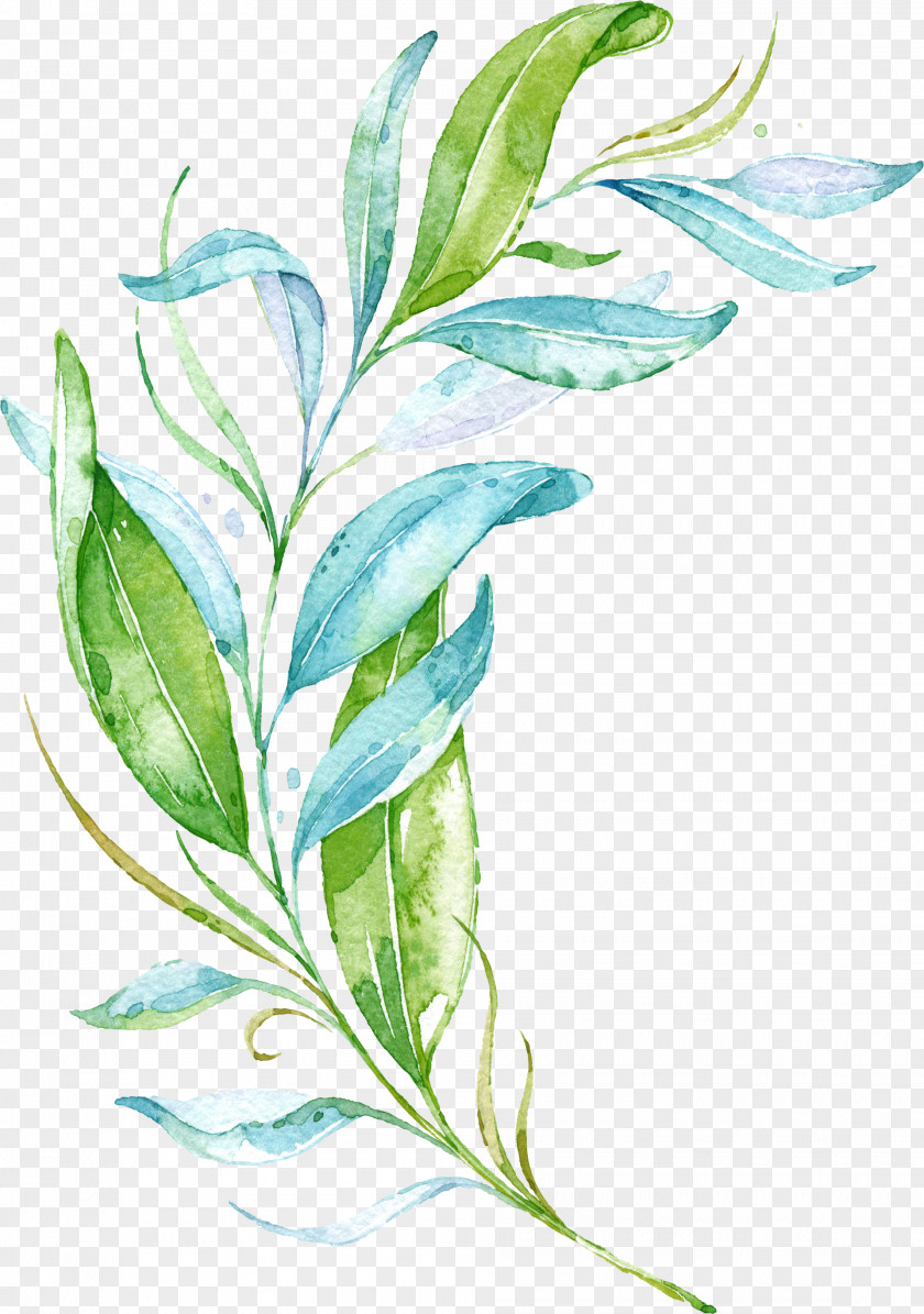 Flower Leaves Image Watercolor Painting Graphic Design PNG