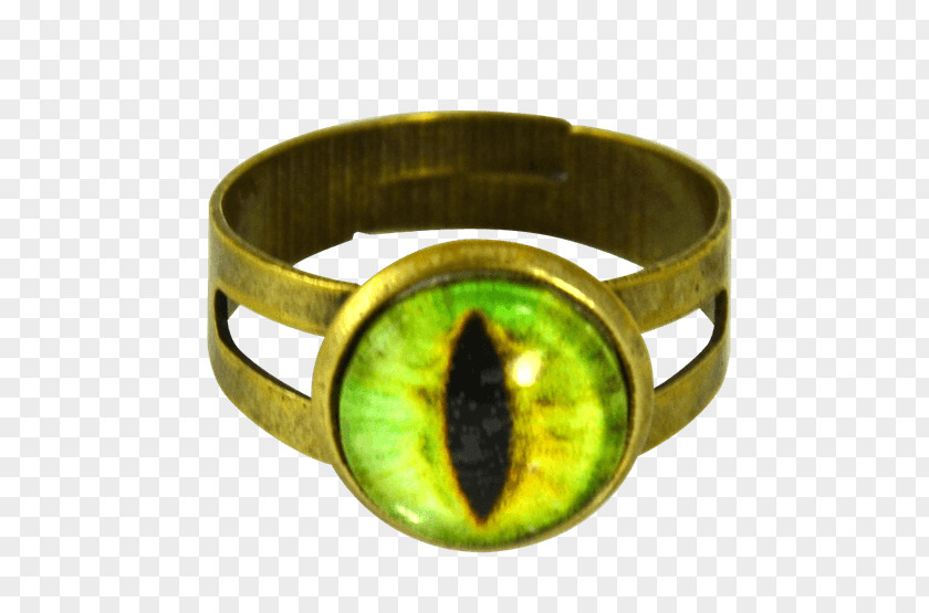 Ring Earring Dragon Bracelet Jewellery PNG