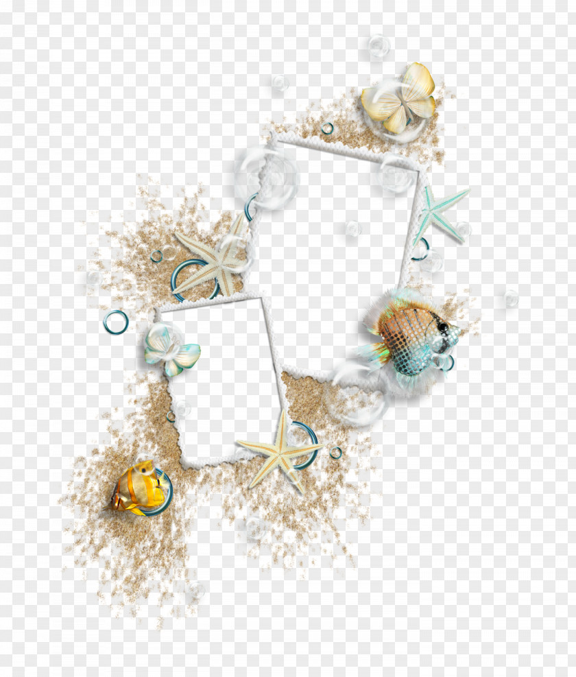 Seashell Naver Blog Clip Art PNG