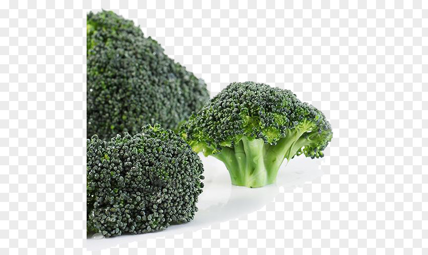 Fresh Broccoli Vegetable PNG