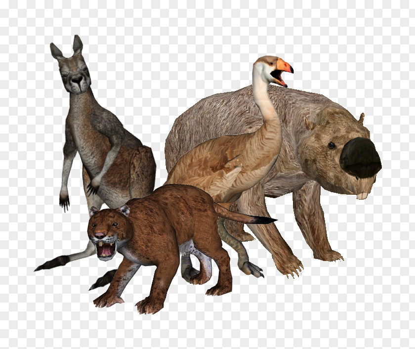 Holocene Animals Extinction Armistice Australian Megafauna Pleistocene PNG