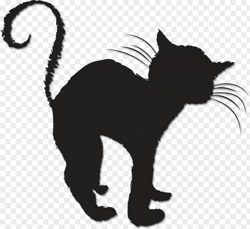 Kitten Black Cat Friday The 13th Whiskers Clip Art PNG