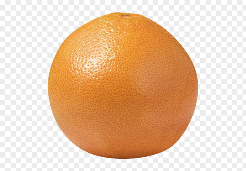 Red Grapefruit Valencia Orange Tangerine Clementine Tangelo Mandarin PNG