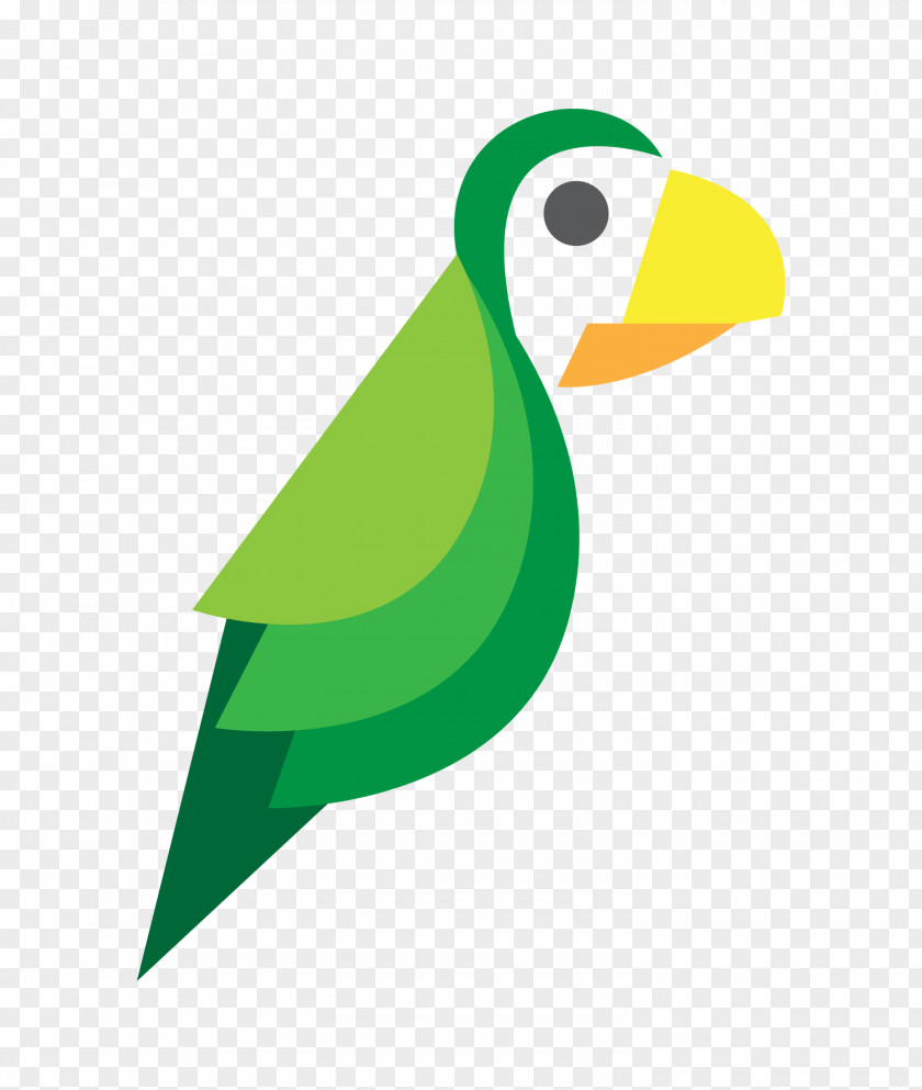 White Parrot Referral Marketing Growth Hacking Advertising Campaign Brand PNG