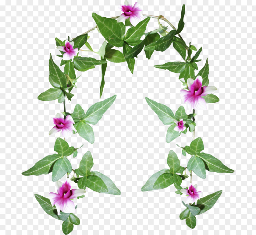Flowers Arch Flower Clip Art PNG