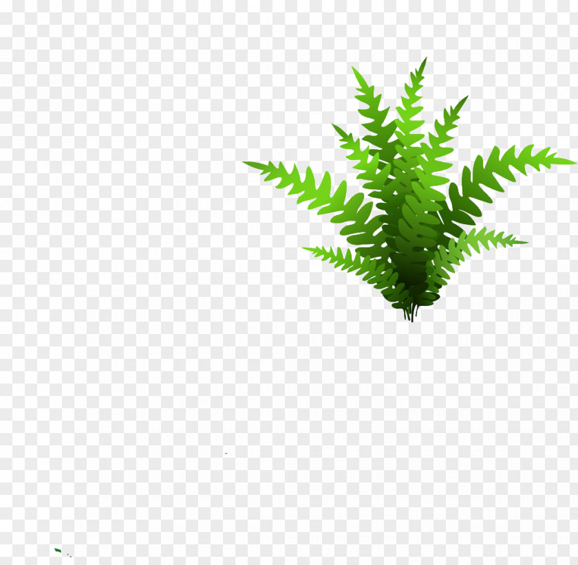 Green Grass Euclidean Vector Shutterstock PNG