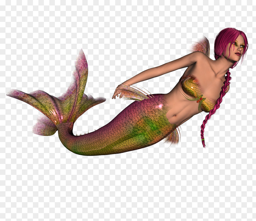 Mermaid Sirena Nymph Tail PNG