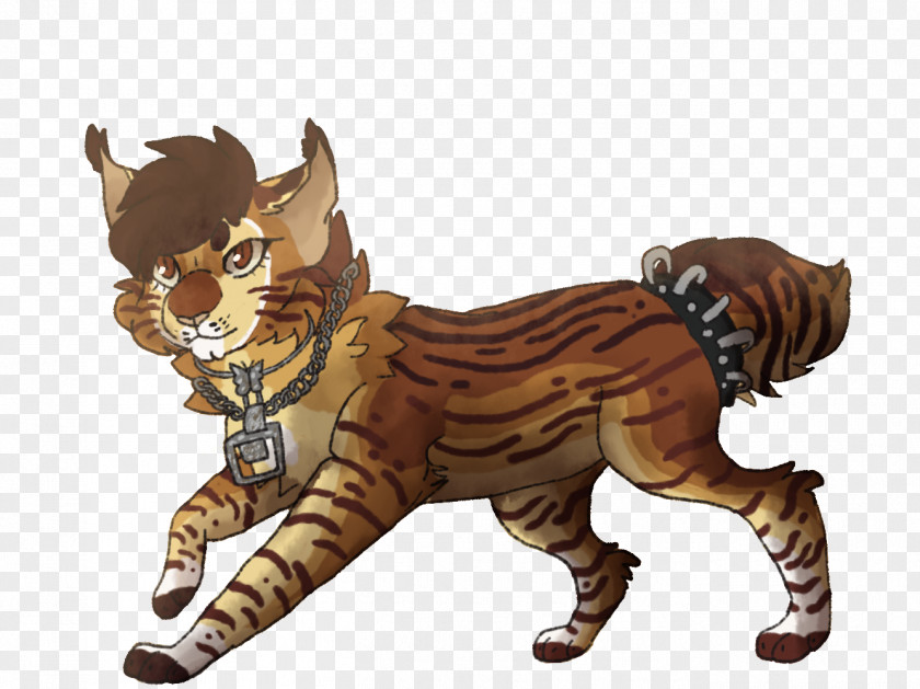 Painted Cat Tiger Kitten Cheetoh Havana Brown Feral PNG