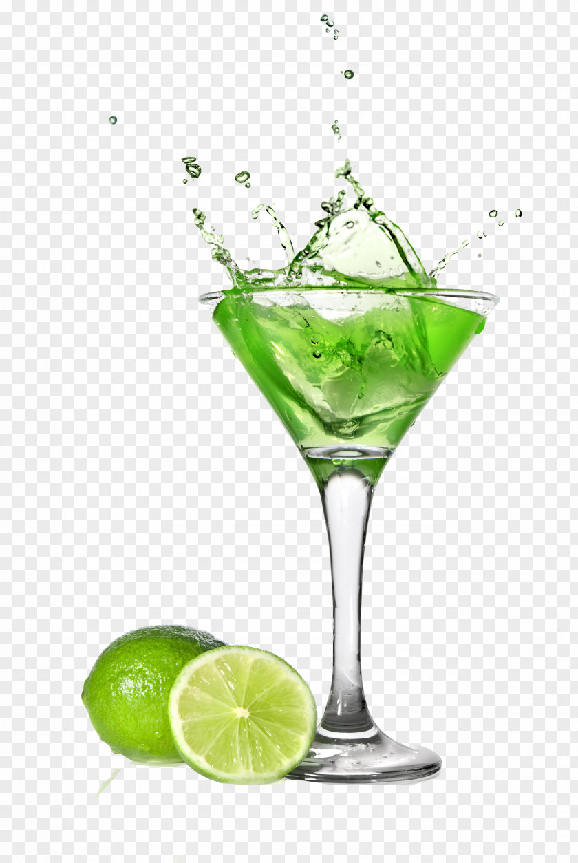 Cocktail Garnish Lime Gin And Tonic Mojito PNG
