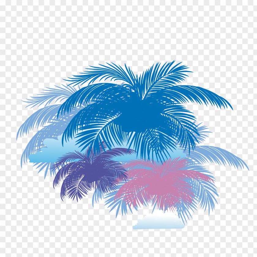 Coconut Tree Background Vector Arecaceae PNG