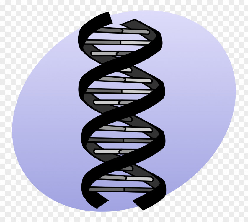 DNA Sequencing Genetics Mutation PNG