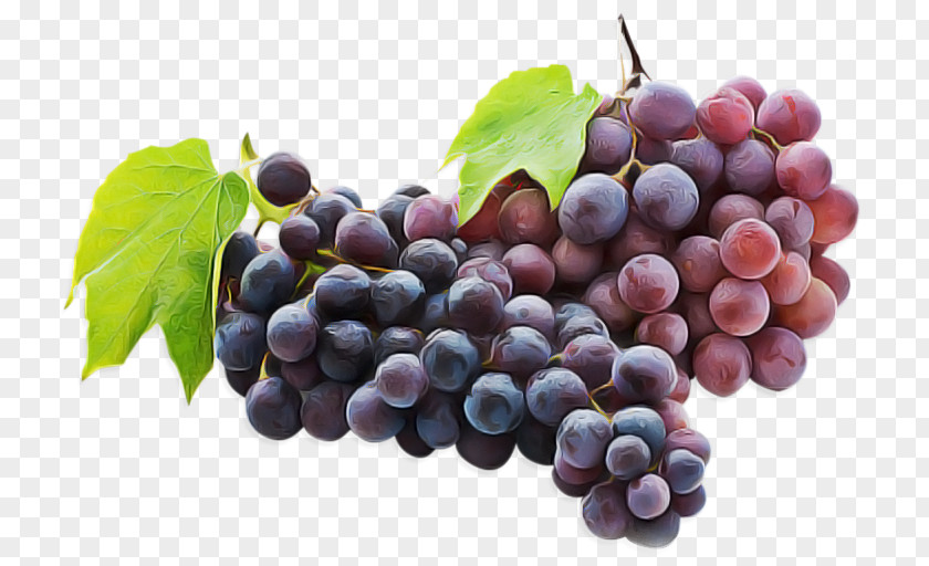 Grape Fruit Natural Foods Seedless Grapevine Family PNG