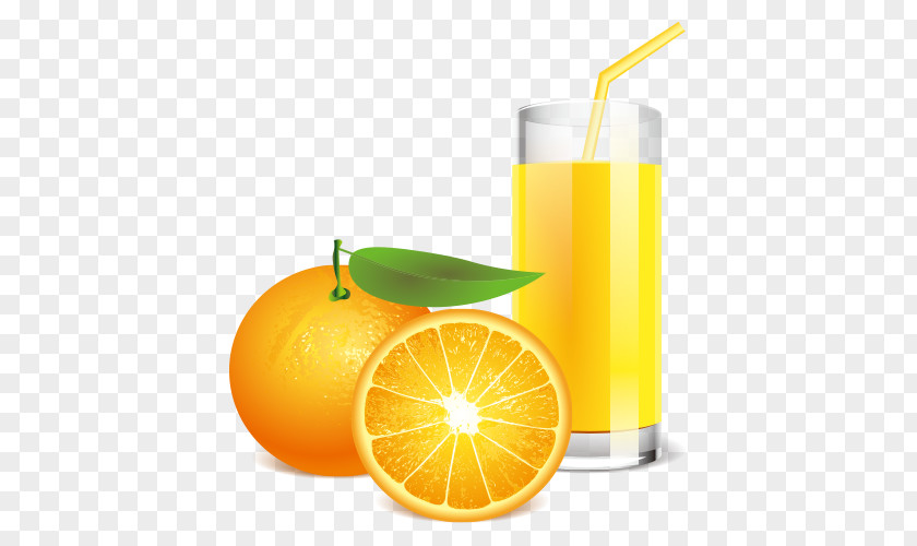 Juice Vector Orange Cocktail Drink PNG
