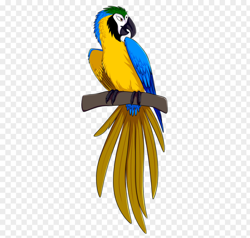 Parrot Blue-and-yellow Macaw Bird Rio PNG