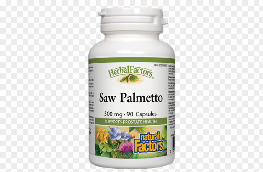 Saw Palmetto Ginkgo Biloba Phytosome Capsule Food Extract PNG