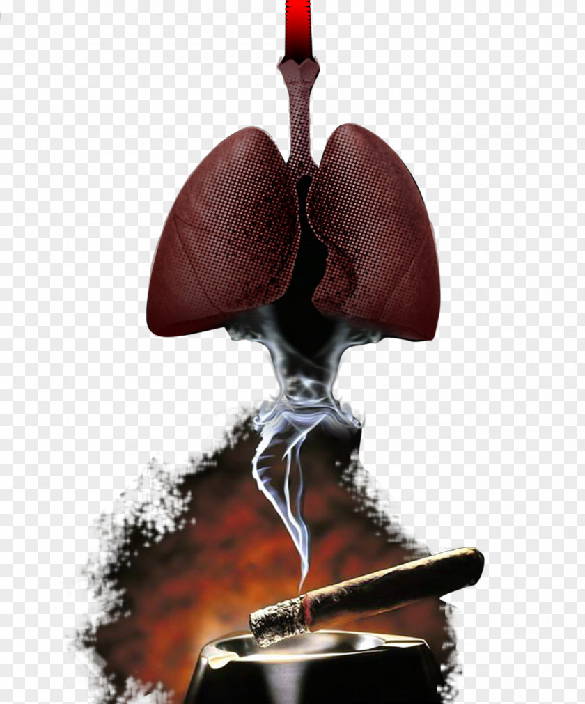 Smoking Cessation Tobacco Pipe Cigarette PNG