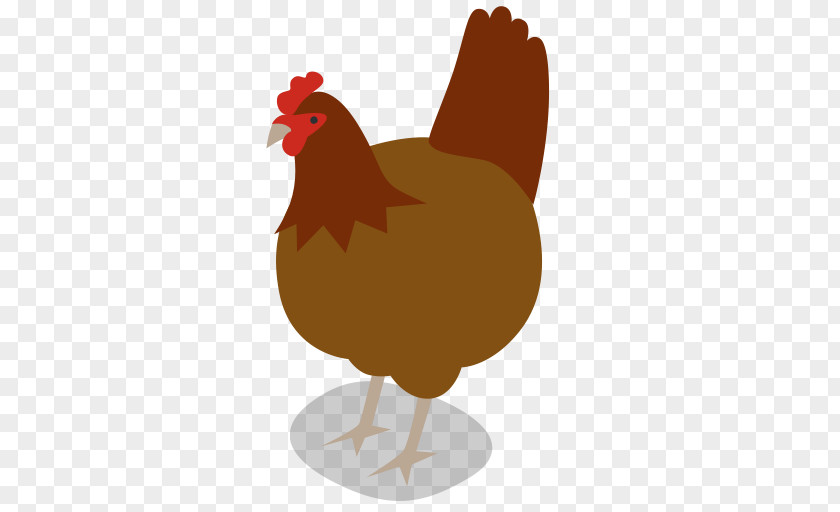 Animal Chicken Clip Art PNG
