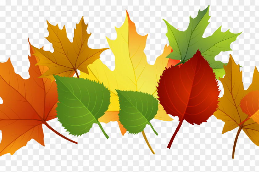 England Autumn Clip Art Desktop Wallpaper Openclipart PNG