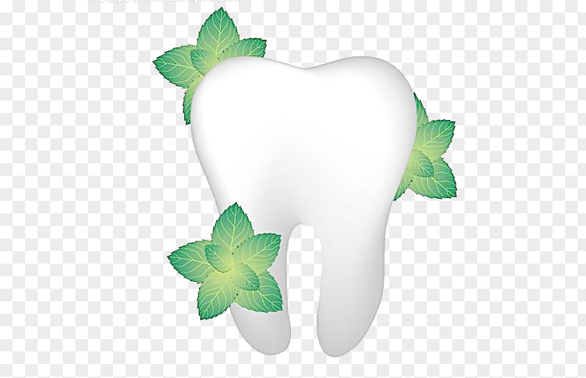 Fresh Green Leaves And Teeth Tooth Pathology Gums Dentistry PNG