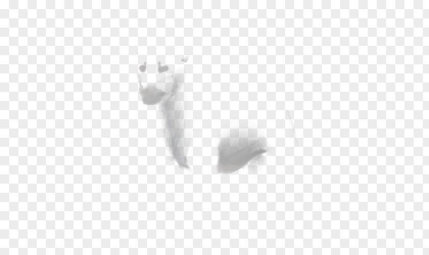 Polar Bear Whiskers Kitten Mammal PNG