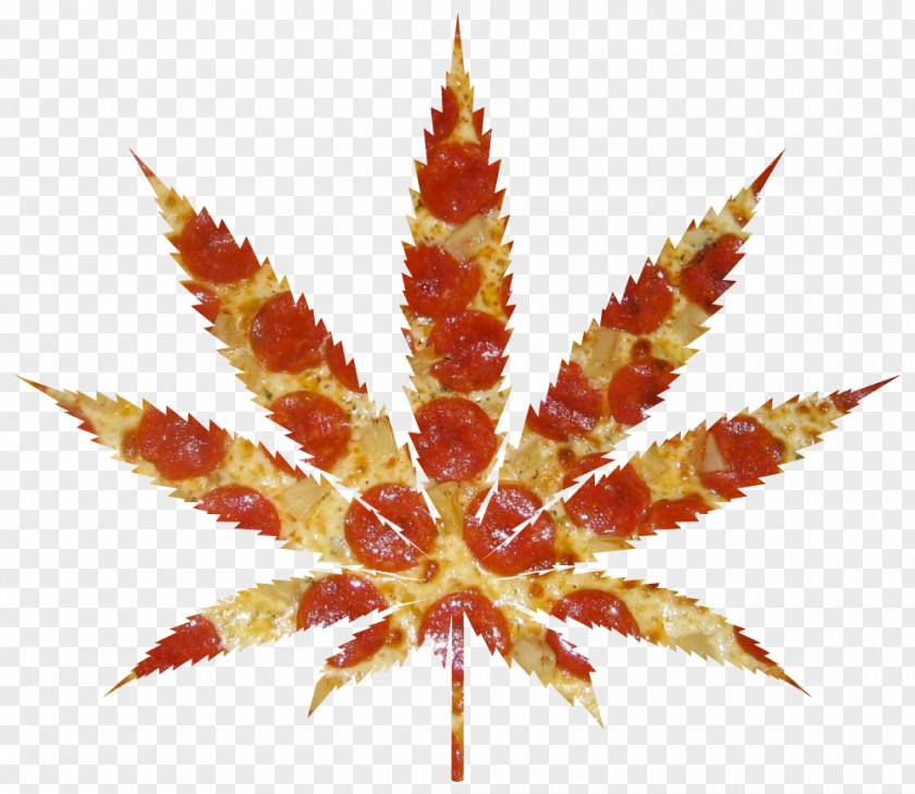 Pot Leaf Kush Cannabis Smoking Bong 420 Day PNG