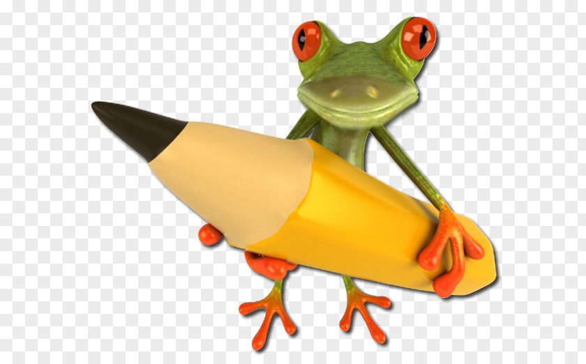Red Billboard Tree Frog Drawing Clip Art PNG